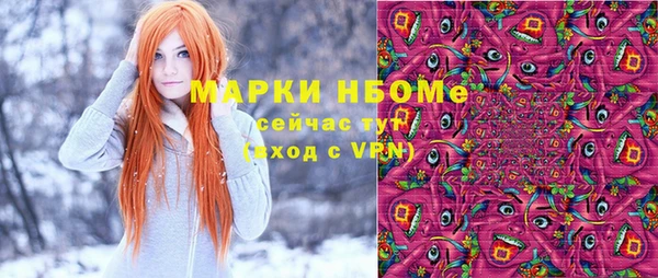 apvp Ельня