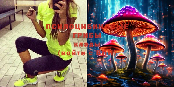 прущие крисы Елизово