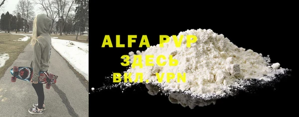 apvp Ельня