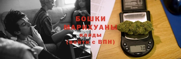 apvp Ельня