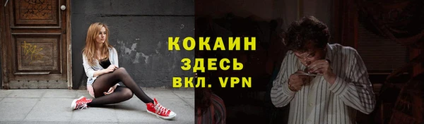 apvp Ельня