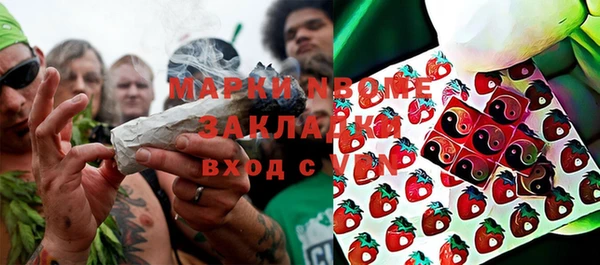 прущие крисы Елизово
