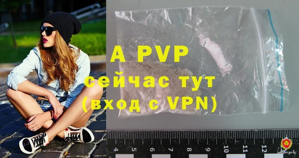 ГАЛЛЮЦИНОГЕННЫЕ ГРИБЫ Елабуга