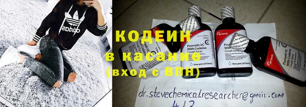 ГАЛЛЮЦИНОГЕННЫЕ ГРИБЫ Елабуга