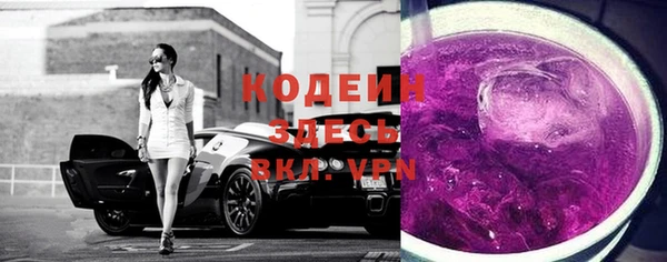 apvp Ельня